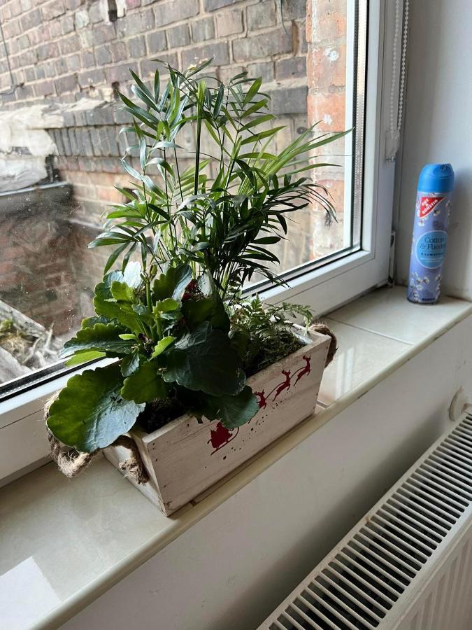 Wohnung 18 Lutherstadt Eisleben Extérieur photo